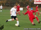 cresovia_gryf_202