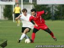 cresovia_gryf_213